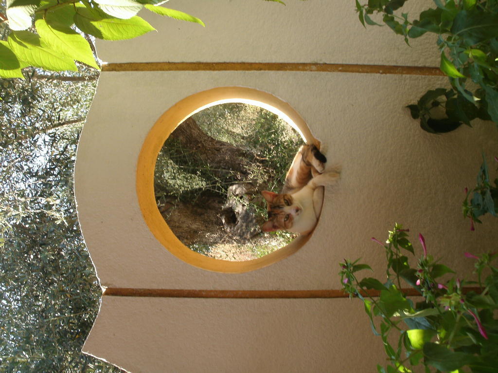 Aparthotel Athina Kávos Exterior foto